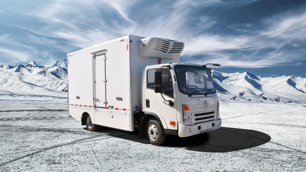 Dayun 4X2 1 Ton New Energy Electric Freezer Van Refrigerator Truck