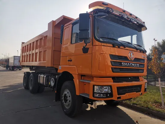 China Sinotruck HOWO Dayun Shacman 6X4 8X4 25t 30t 10/12 Wheels 371HP 375HP Tipper Truck